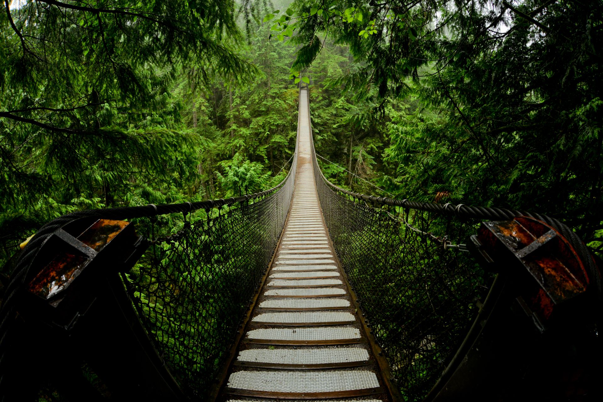 suspension bridge 